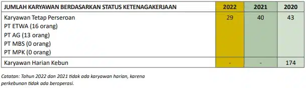 ETWA Di Jurang Kebangkrutan - Rivan Kurniawan