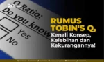 Rumus-Tobin_s-Q
